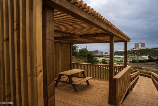 Ahşap Çiçek Saksıları ve Dış Alan Ahşap Saksı Süslemeleri ile Bahçenizi Canlandırın