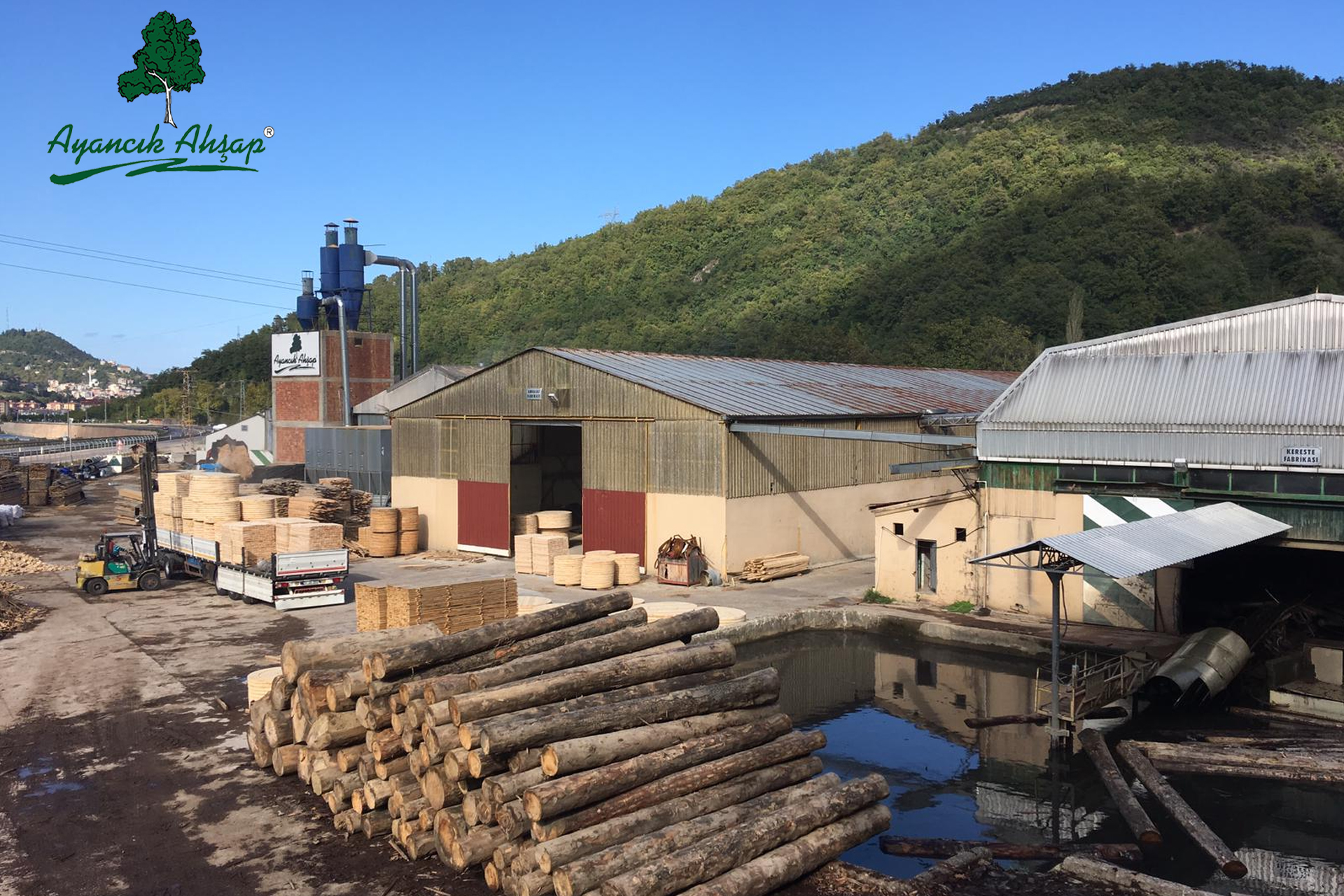 AHŞAP GÜNÜMÜZE KADAR NASIL ULAŞTI?