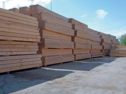 Ahşap Türleri: Doğanın Renkli Paleti