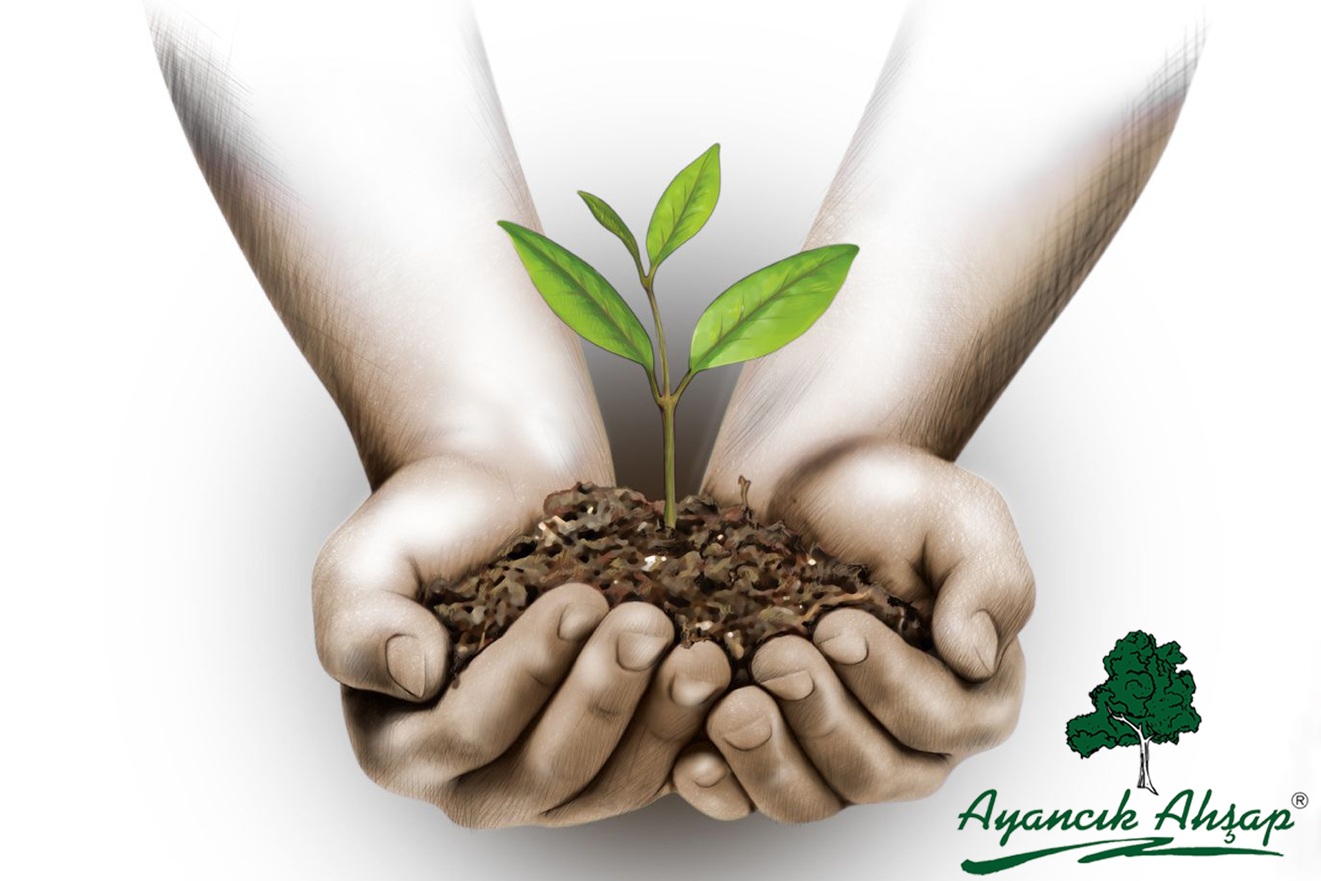 AYANCIK AHŞAP AİLESİ OLARAK GELECEGE NEFES OLDUK