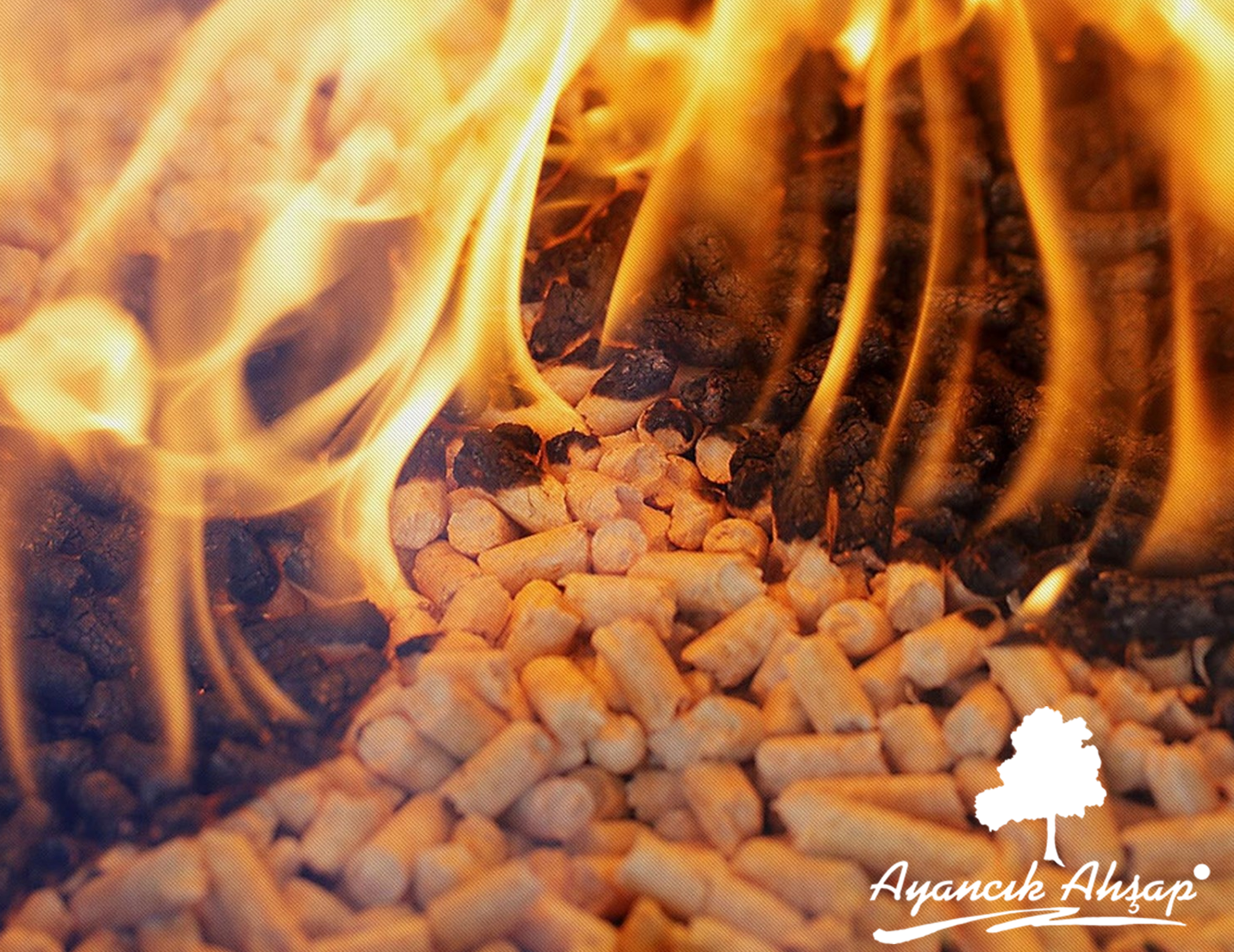 AYANCIK AHŞAP NEDEN PELET ÜRETİYOR ?