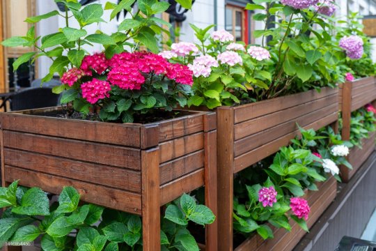 Havuz Kenarı Ahşap Yer Döşemesi İle Şık ve Estetik Bir Alan Yaratın