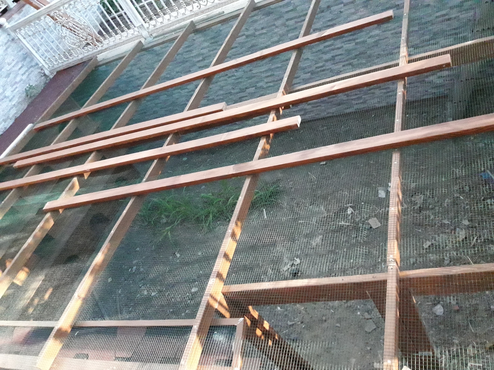 Kümes & Kuş Yuvası